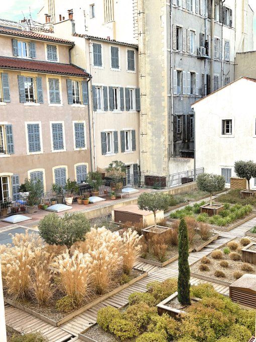 Massilia
